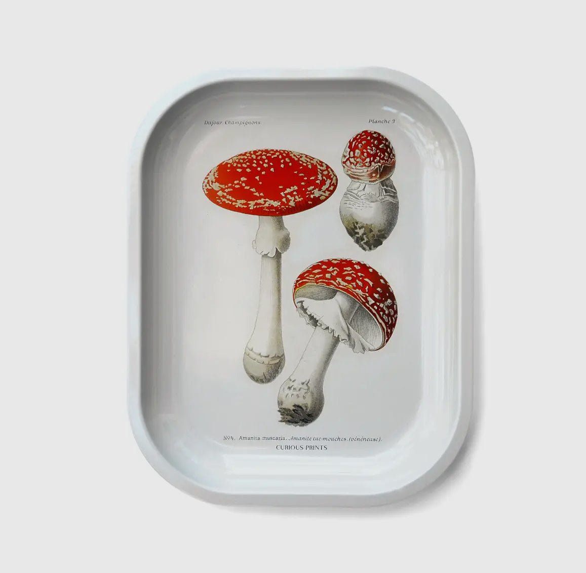 Metal Magic Mushroom Tray - Flea Boutiques