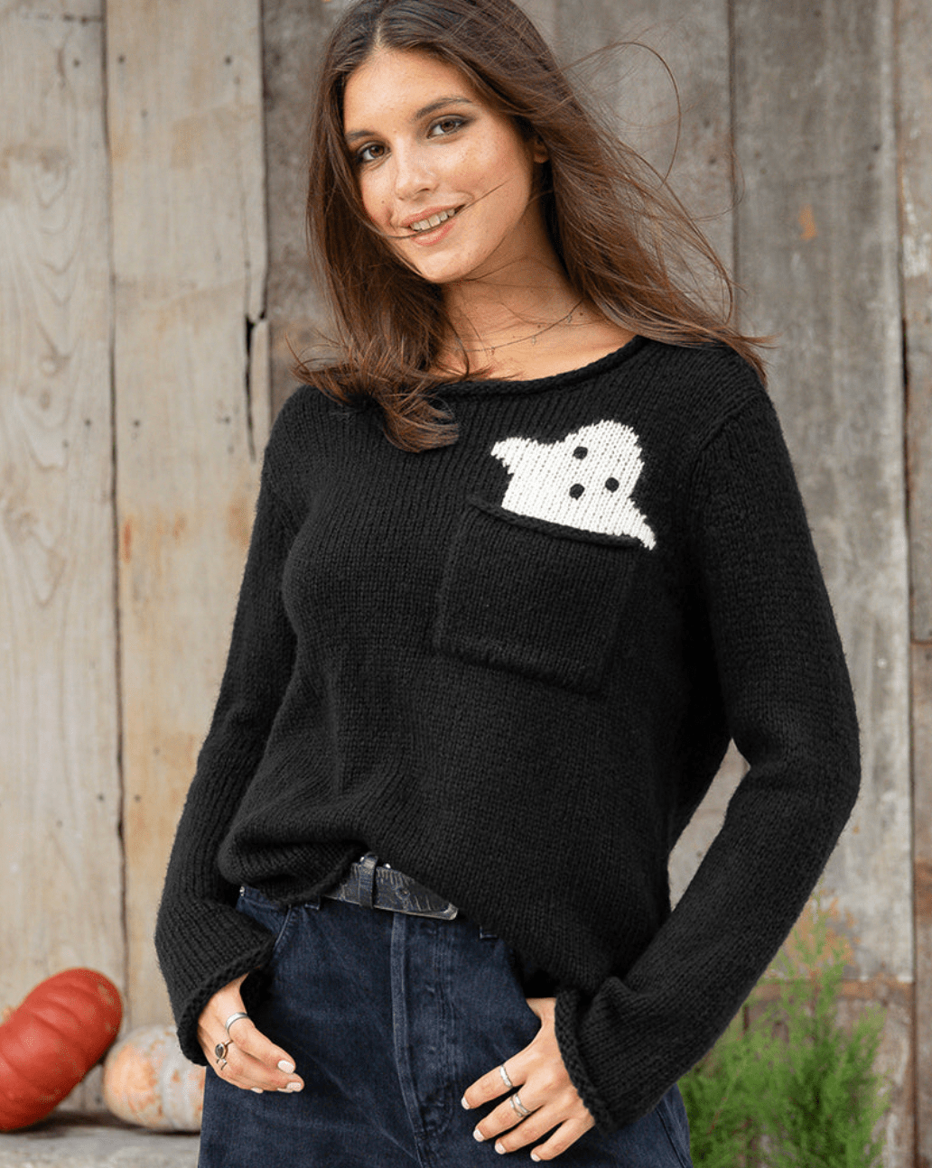 Pocket Ghost Crew Knit - Flea Boutiques
