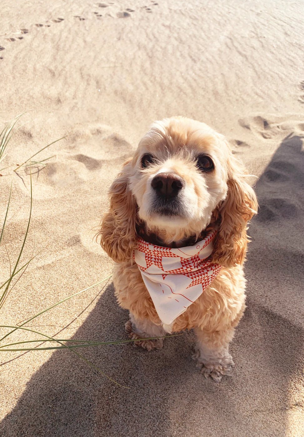 Quilt Cotton Bandana - Flea Boutiques