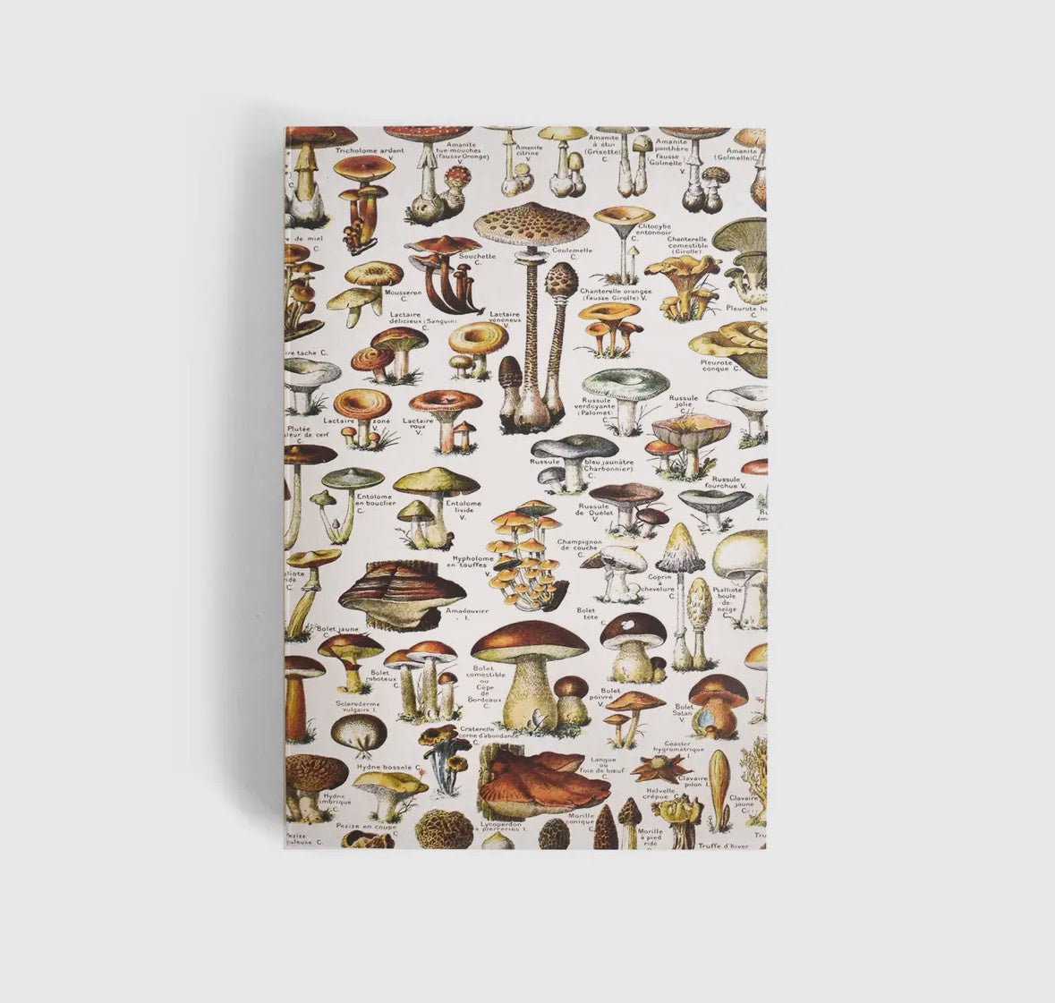 Vintage Mushroom Notebook - Flea Boutiques