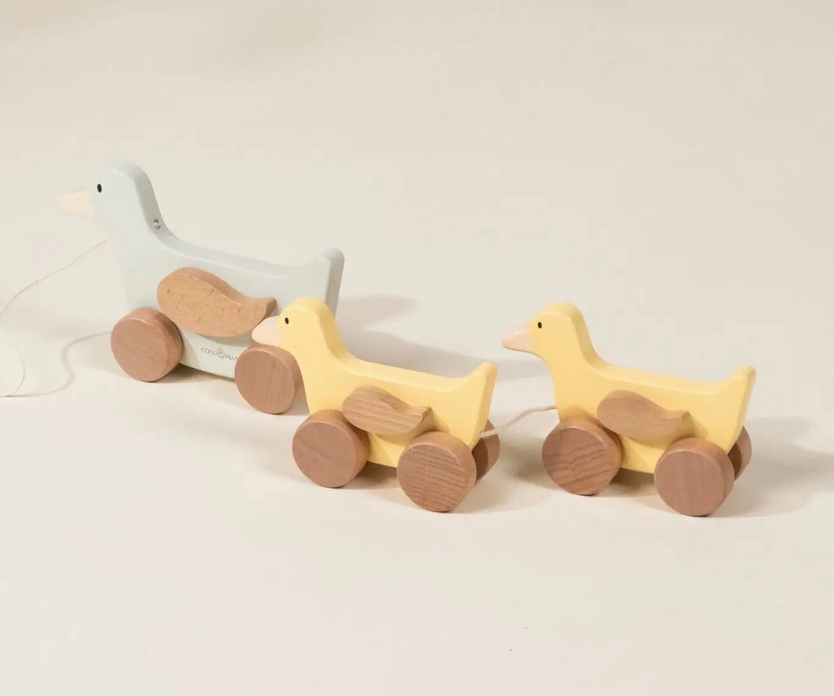 Coco Village Duck Family Pull Toy