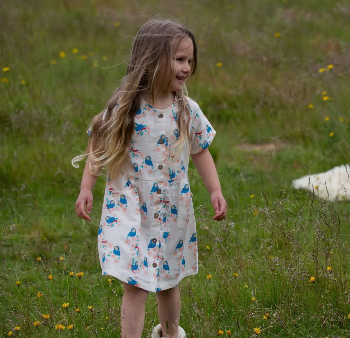 Bluebirds Button Sleeve Dress - Flea Boutiques