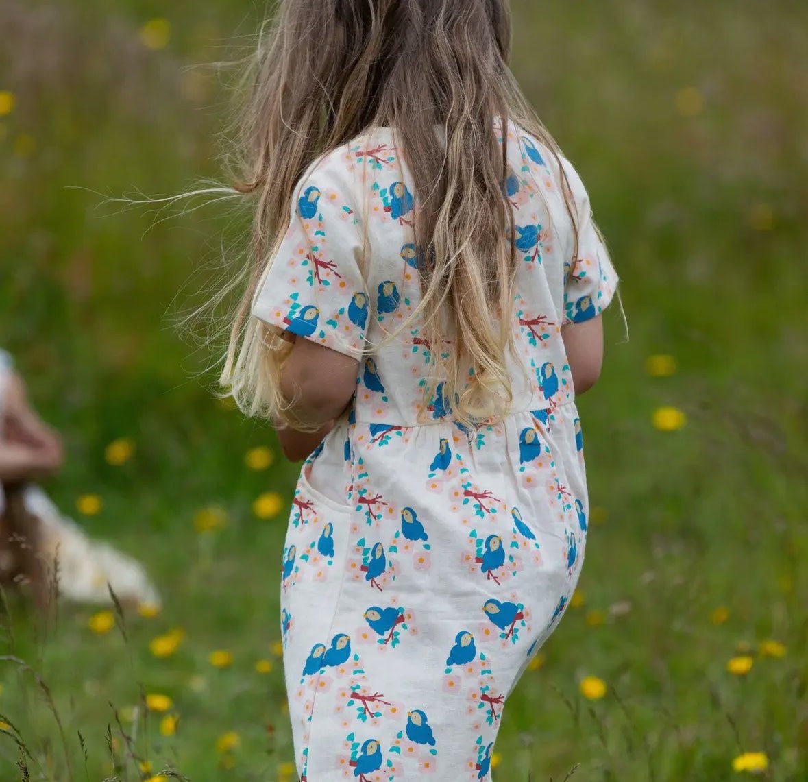Bluebirds Button Sleeve Dress - Flea Boutiques
