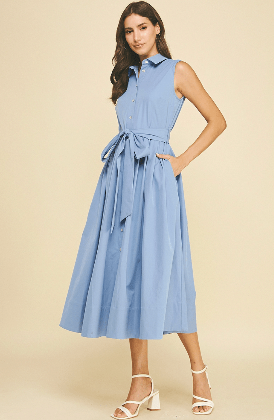 Button Down Flared Dress - Flea Boutiques