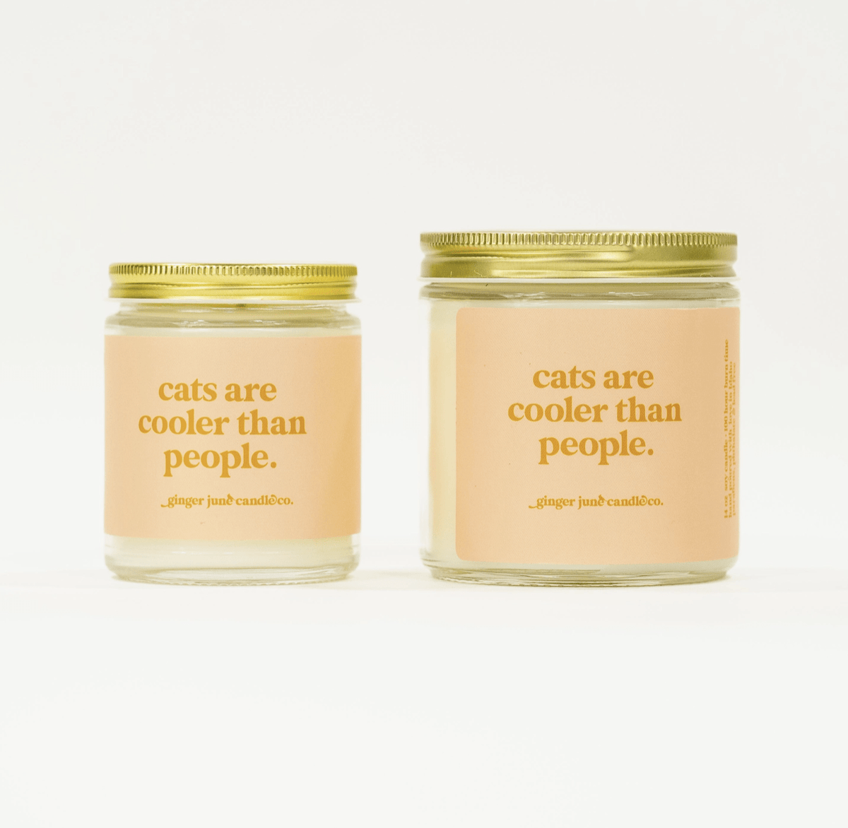Cats are Cooler - Flea Boutiques