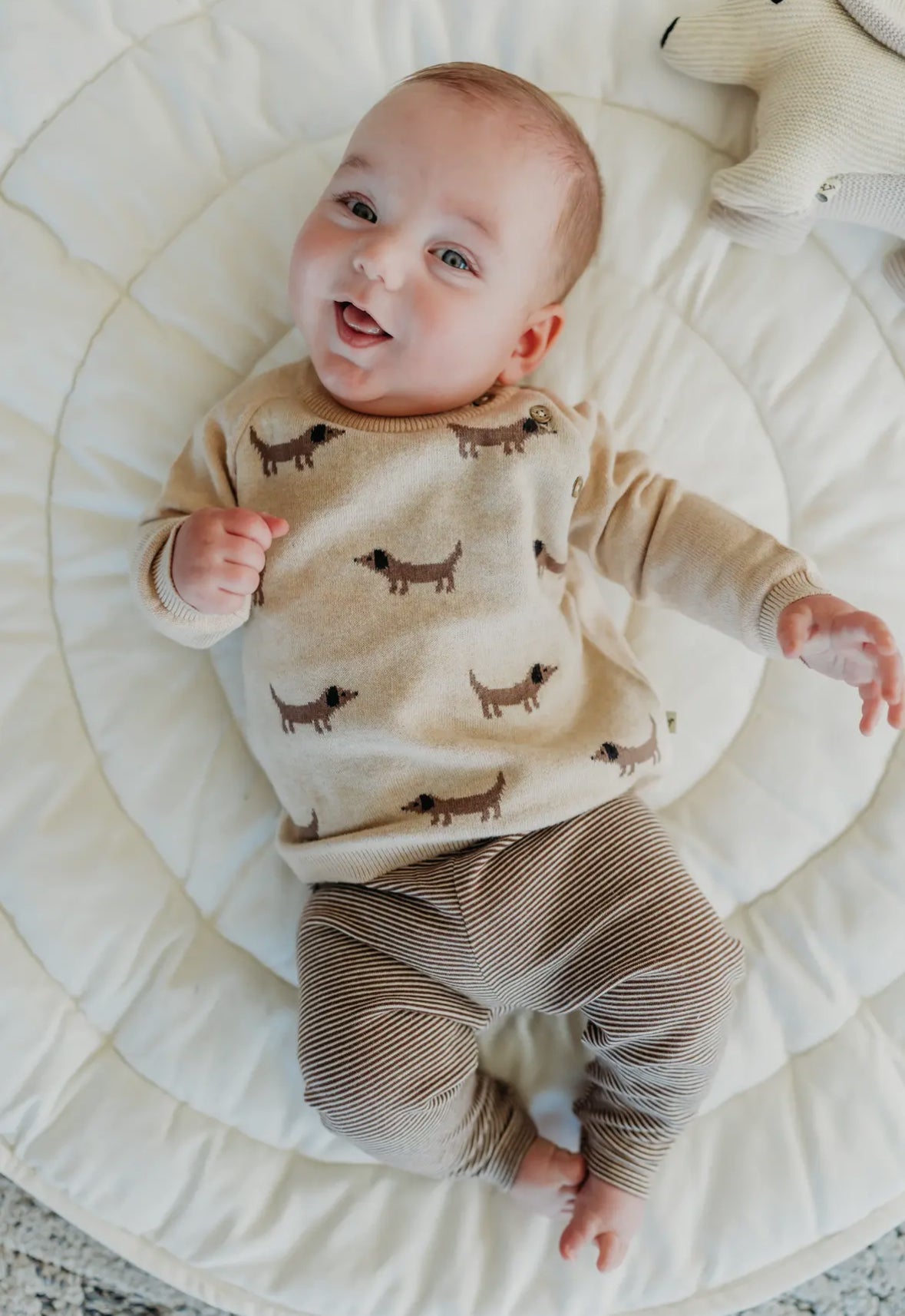 Doxie Dog Pullover - Flea Boutiques