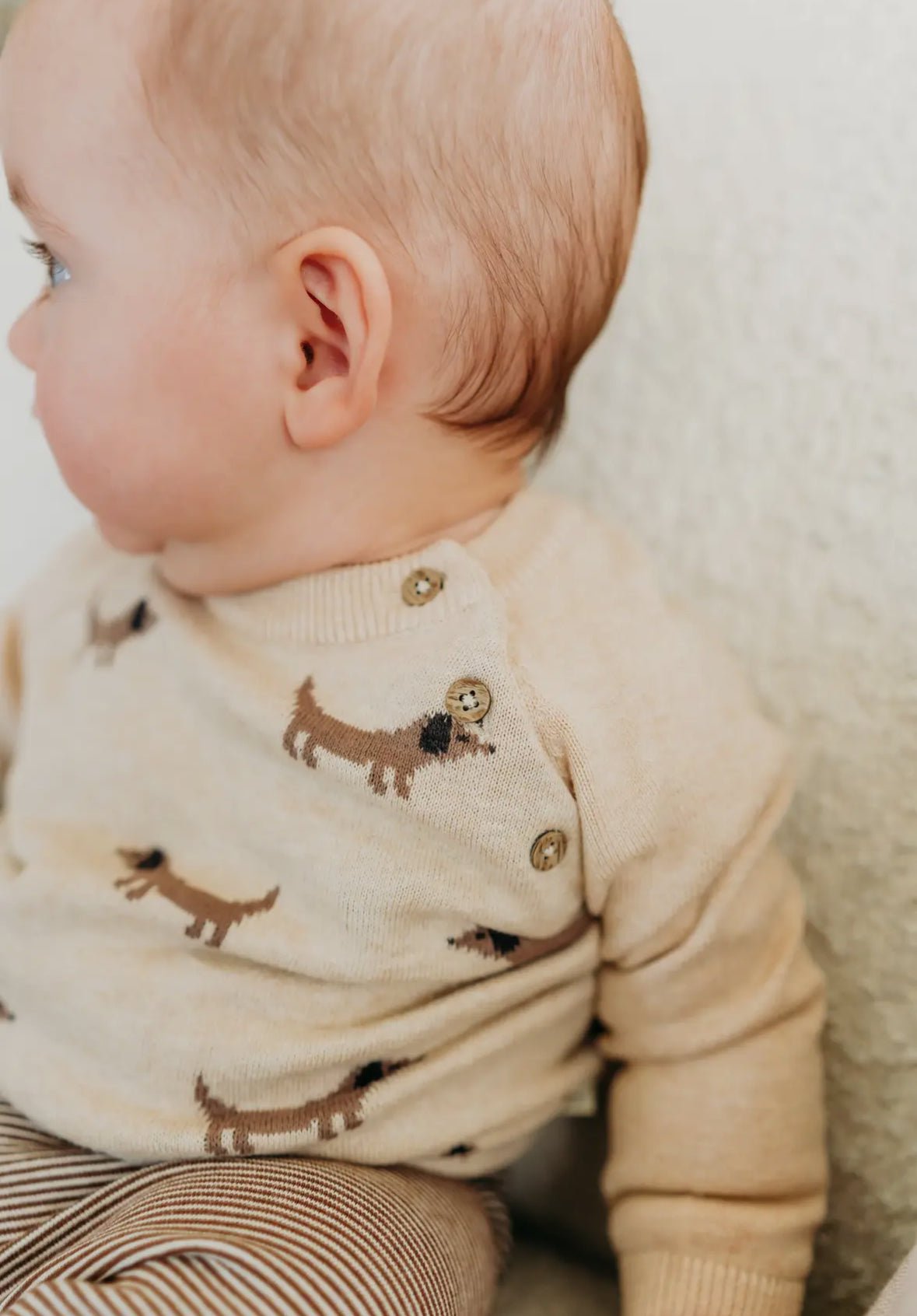 Doxie Dog Pullover - Flea Boutiques