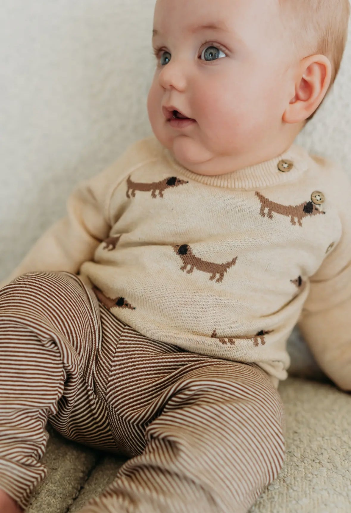 Doxie Dog Pullover - Flea Boutiques