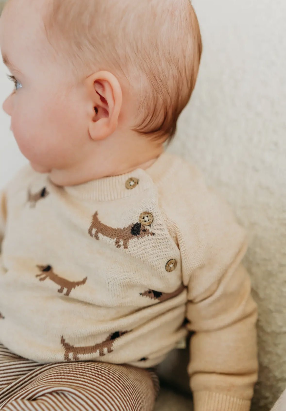 Doxie Dog Pullover - Flea Boutiques