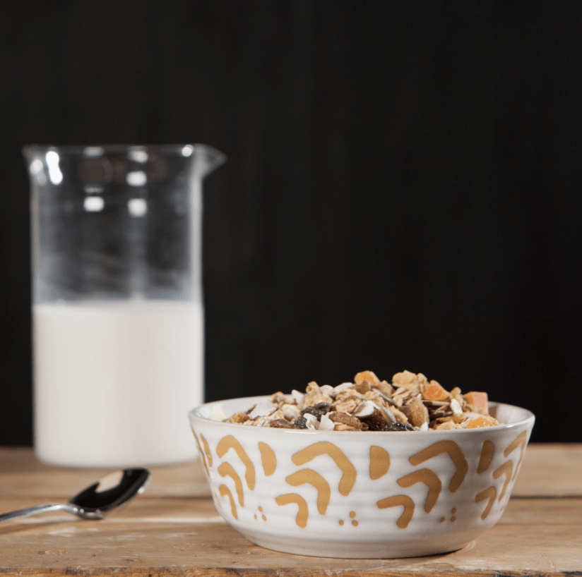 Echo Imprint Bowl - Flea Boutiques