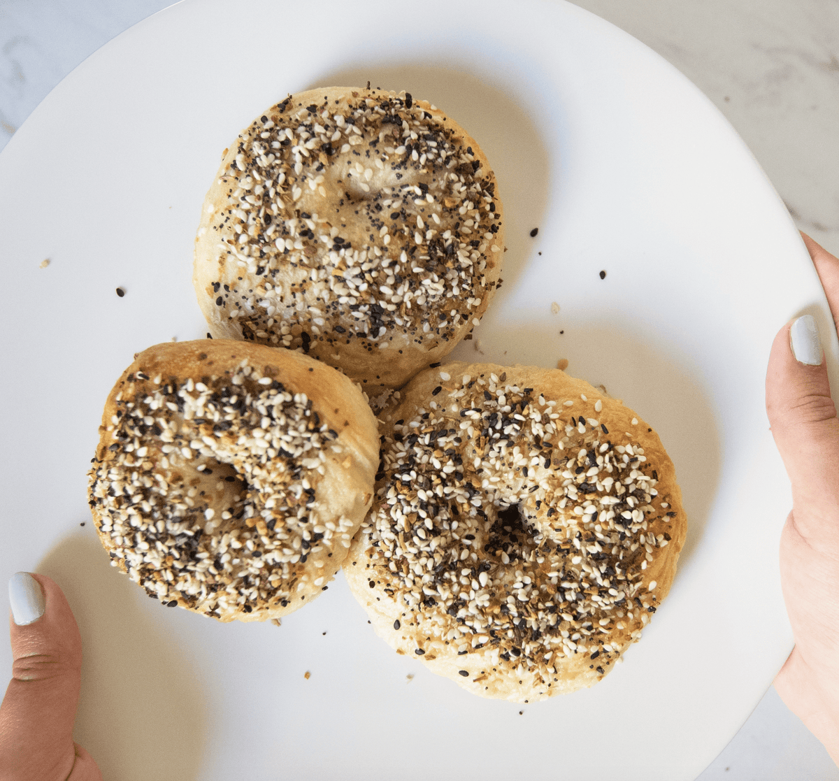 Everything Bagel & Cream Cheese Kit - Flea Boutiques
