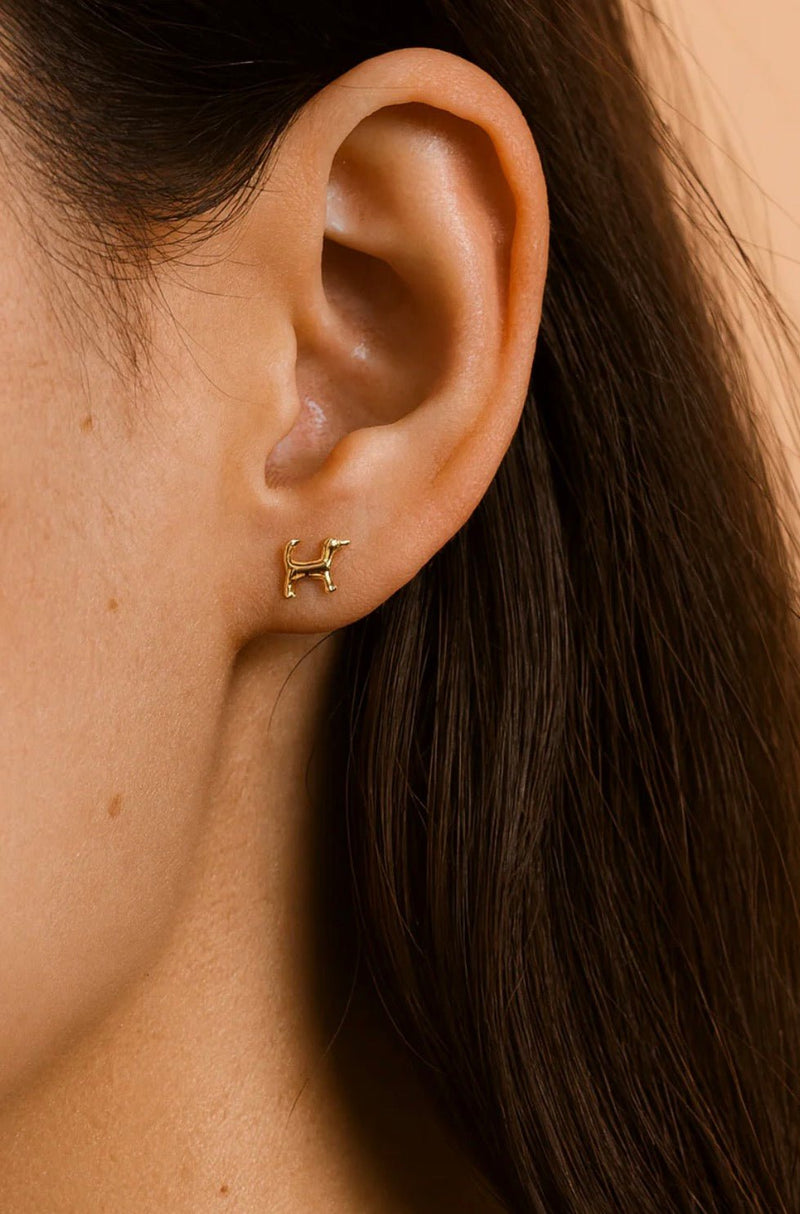 Fortune Dog Studs - Flea Boutiques