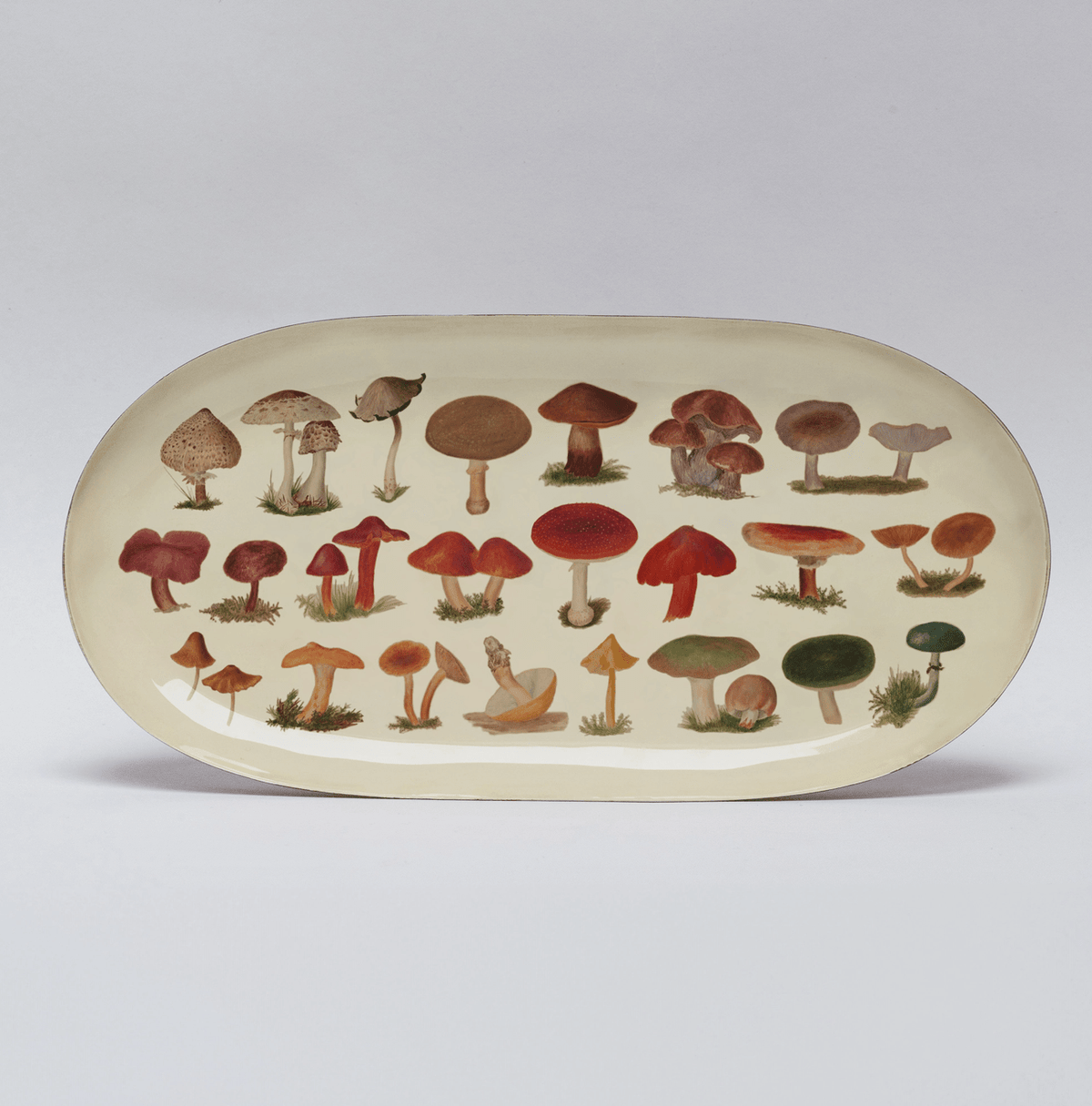 Fungi Oval Enamel Tray - Flea Boutiques