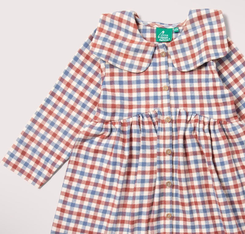 Ginger Check Long Sleeve Dress - Flea Boutiques