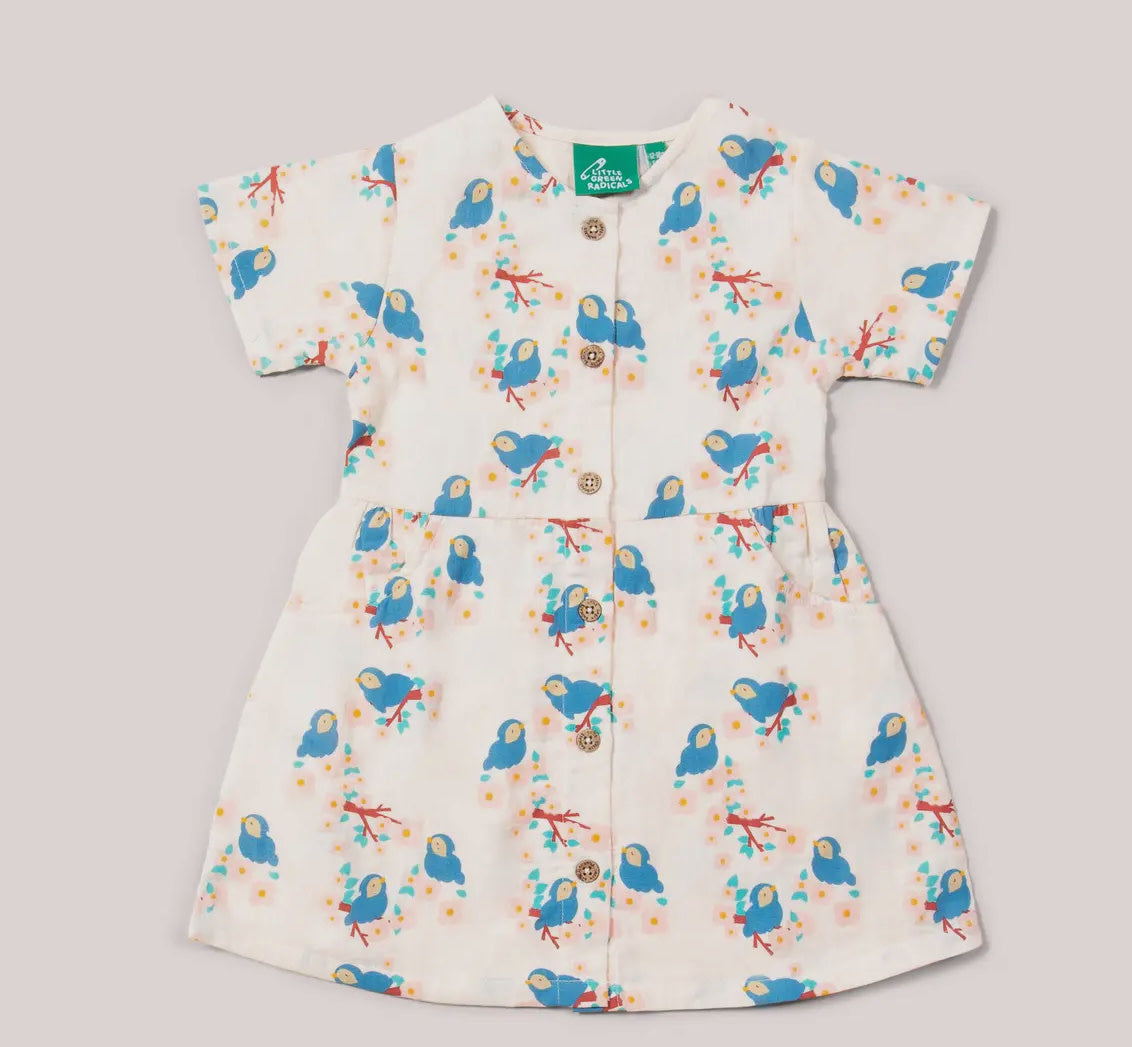 Bluebirds Button Sleeve Dress