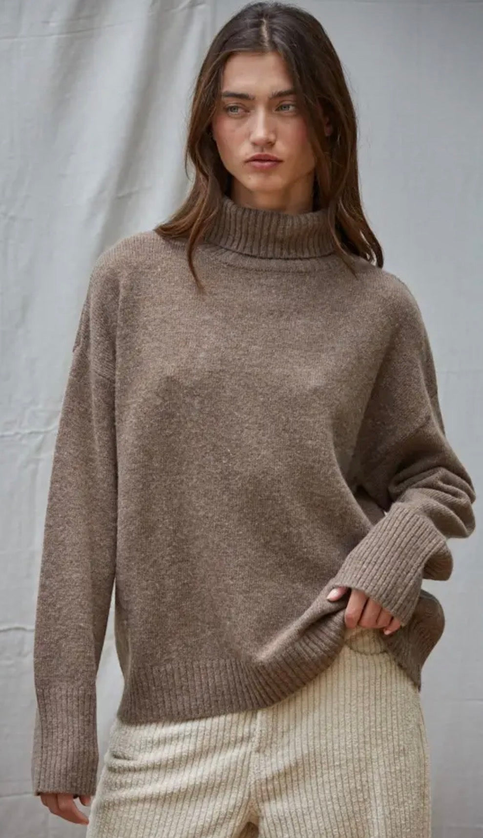 Knit Ribbed Turtleneck Sweater - Flea Boutiques