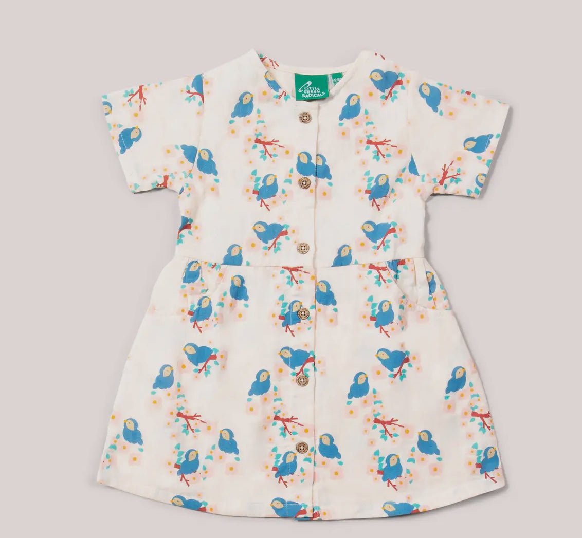 Little Green Radicals Bluebirds Button Sleeve Dress - Flea Boutiques