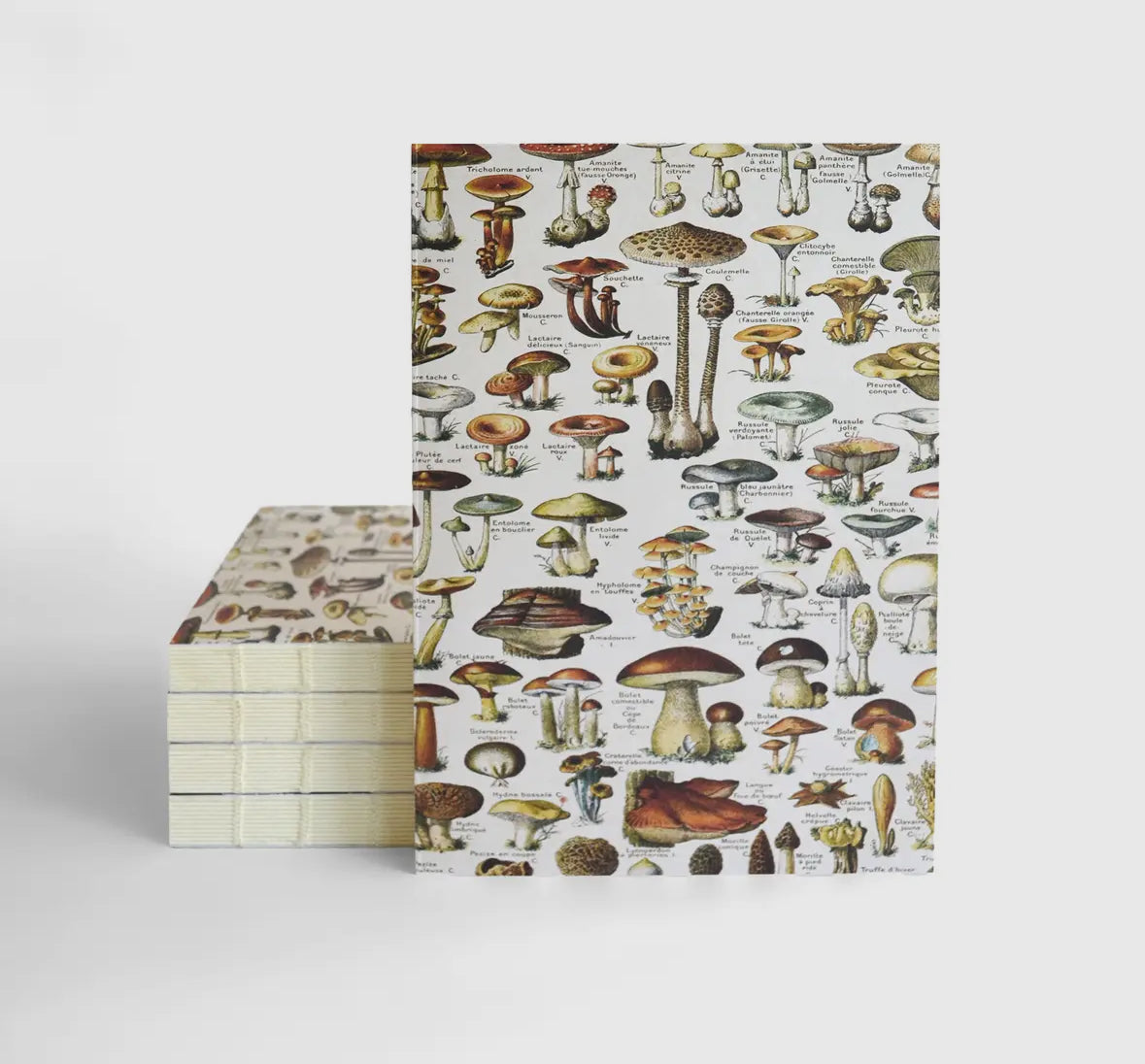 Vintage Mushroom Notebook