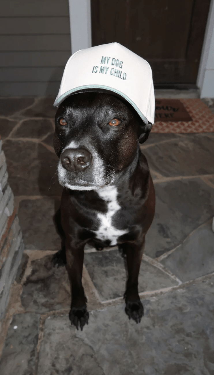 My Dog is My Child - Flea Boutiques