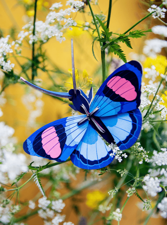 Peacock Butterfly Wall Art - Flea Boutiques