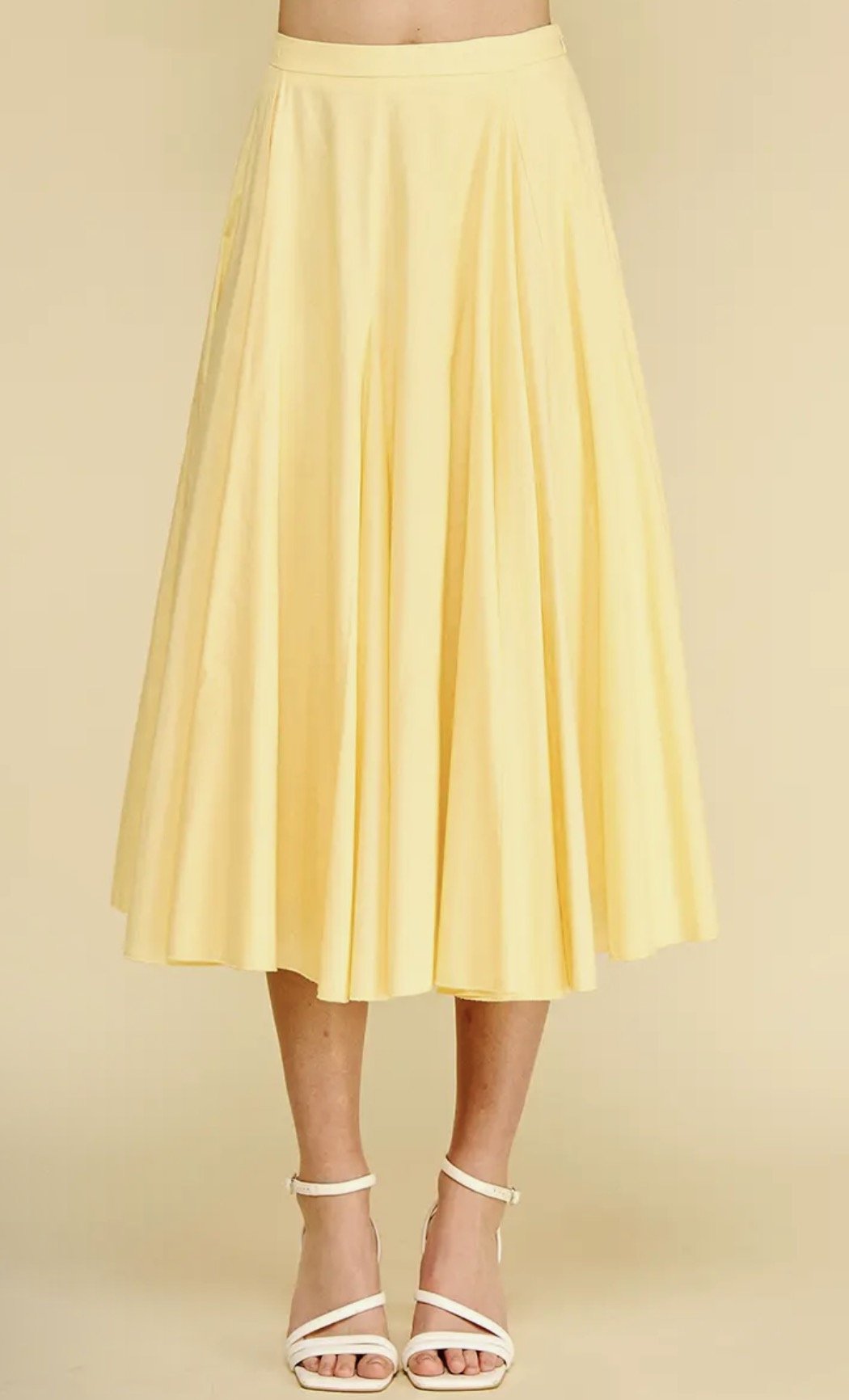 Pleated A - Line Skirt - Flea Boutiques