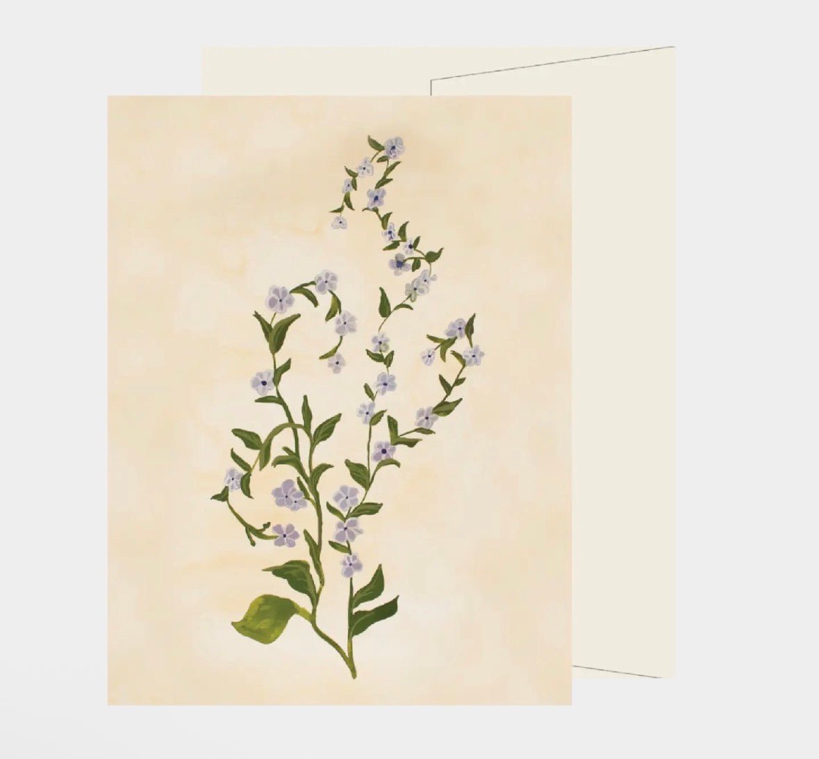 Purple Wildflower - Flea Boutiques