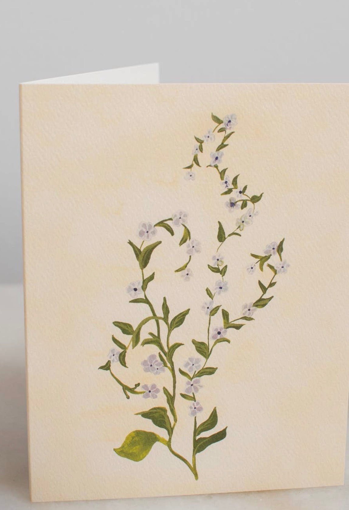 Purple Wildflower - Flea Boutiques