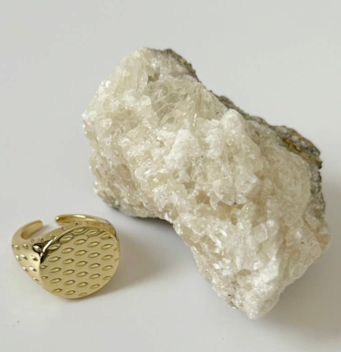 Scales Signet Ring - Flea Boutiques