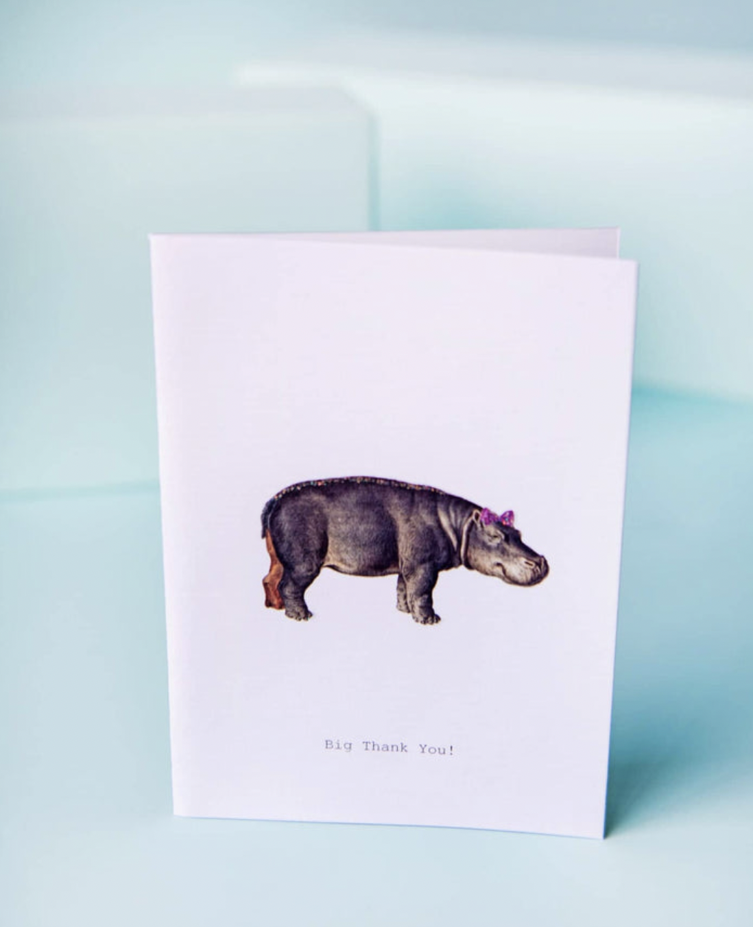 Thank You Hippo