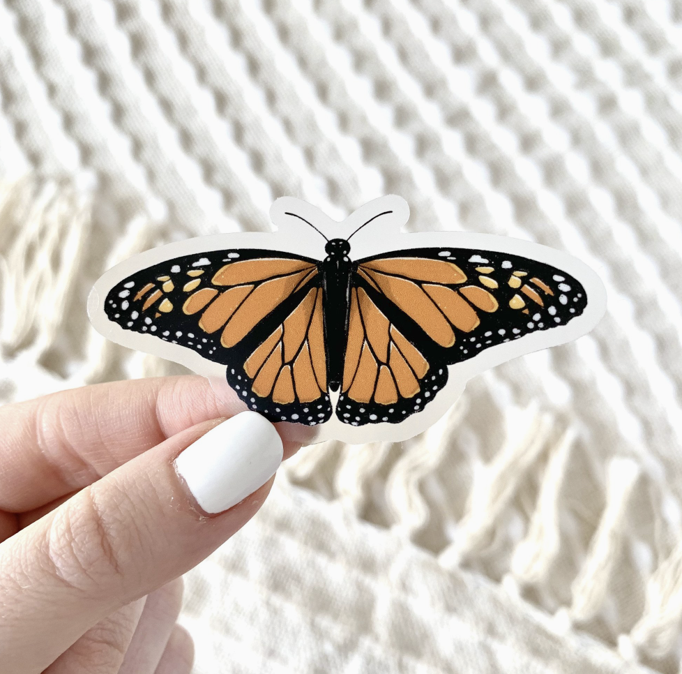 Monarch Butterfly