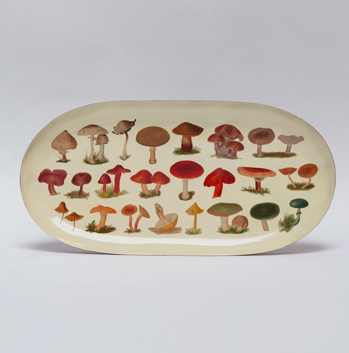 Fungi Oval Enamel Tray