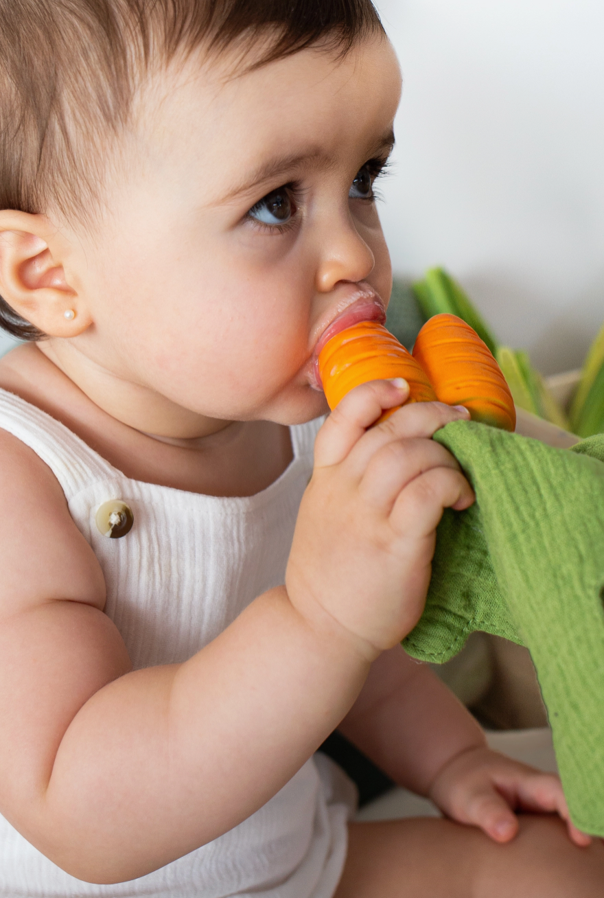 Mini Carrot Teether
