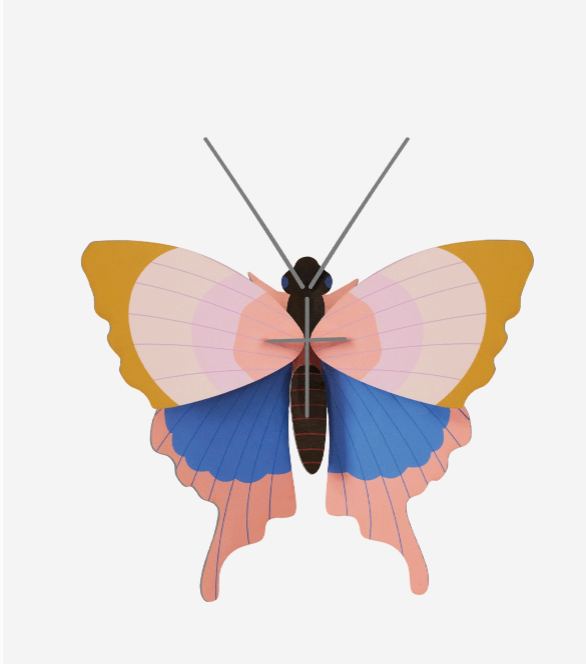 Gold Rim Butterfly Wall Art