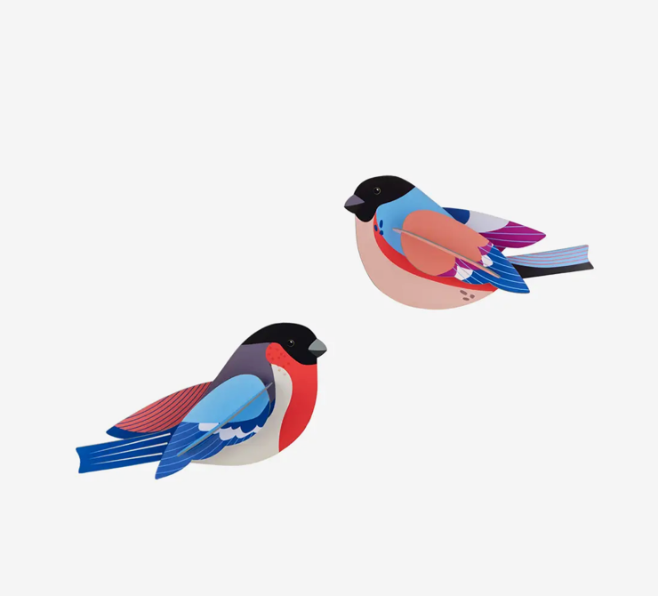 Finches Set Wall Art