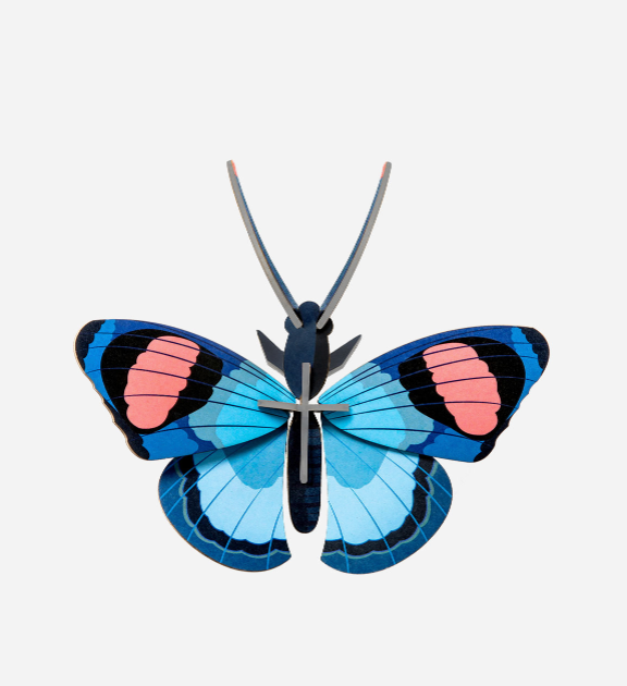 Peacock Butterfly Wall Art
