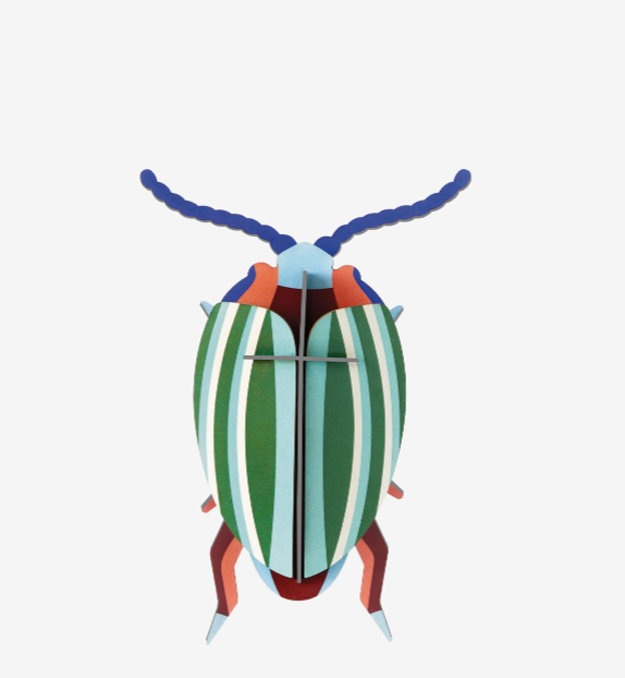Leaf Beetle Wall Art