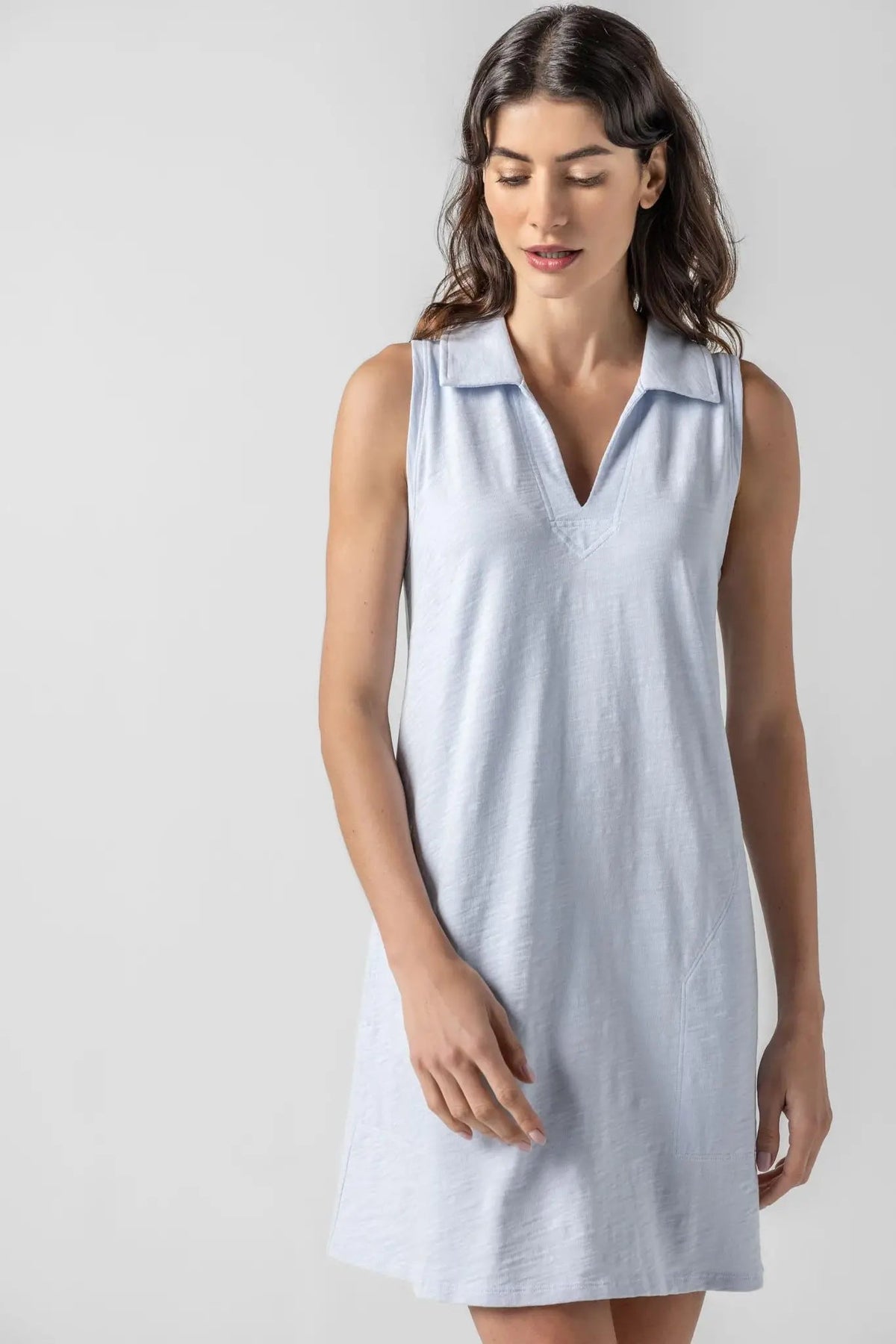 Sleeveless Collared Dress - Flea Boutiques