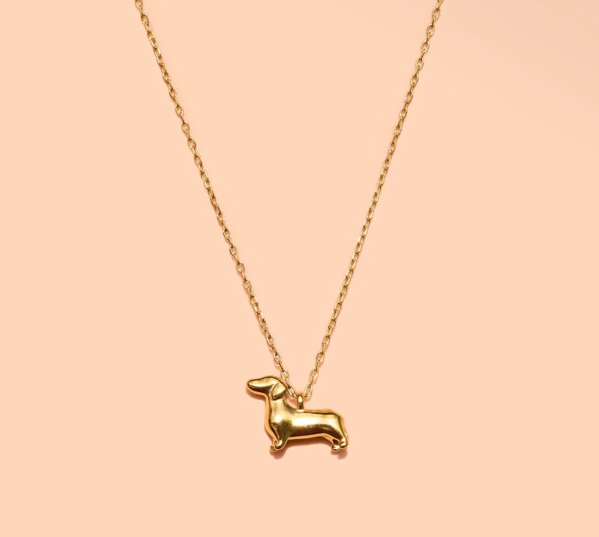 Trinket Necklace - Flea Boutiques