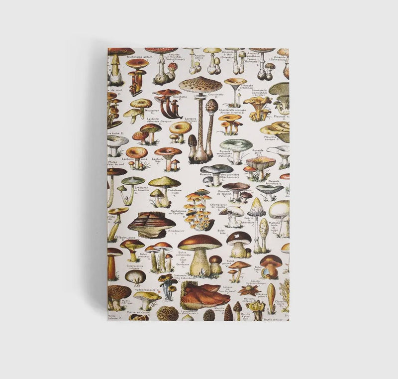 Vintage Mushroom Notebook - Flea Boutiques