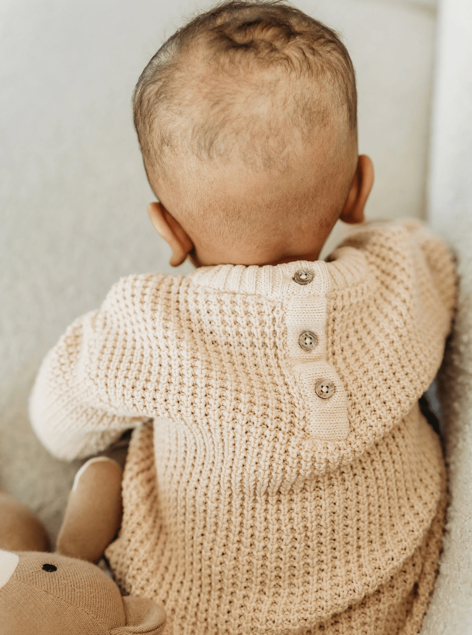 Viverano Organics Little Dude Pullover - Flea Boutiques