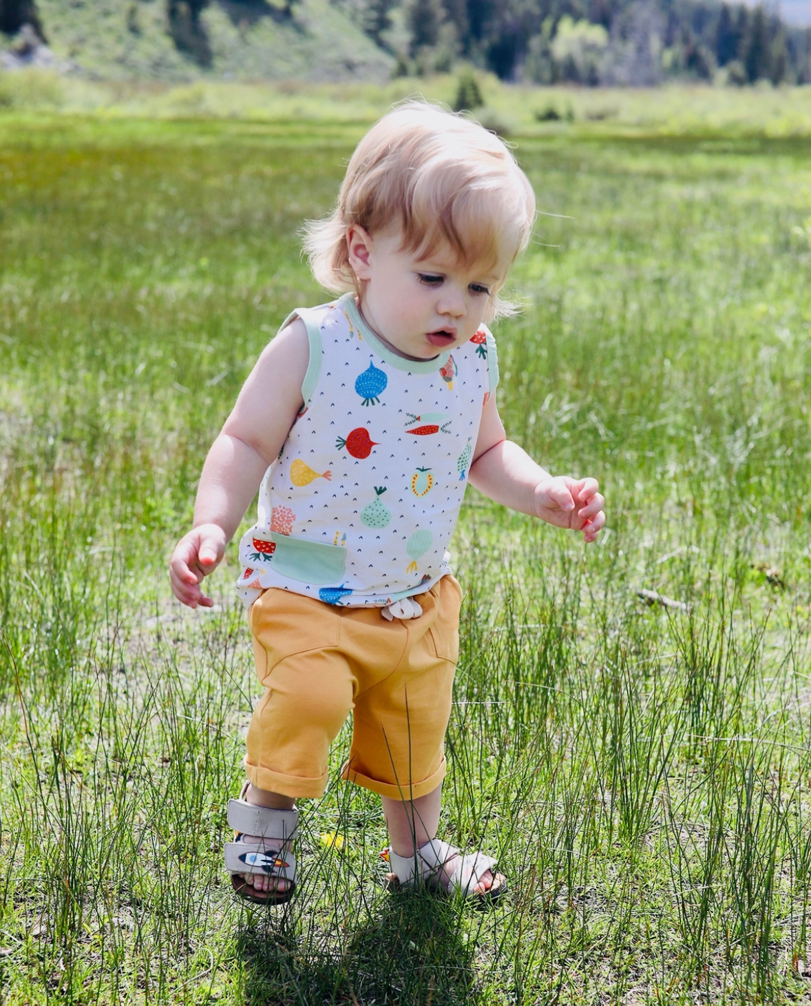 Viverano Organics Veggie Playsuit Tee + Shorts - Flea Boutiques
